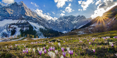 Neue Energie für den Frühling – unsere...